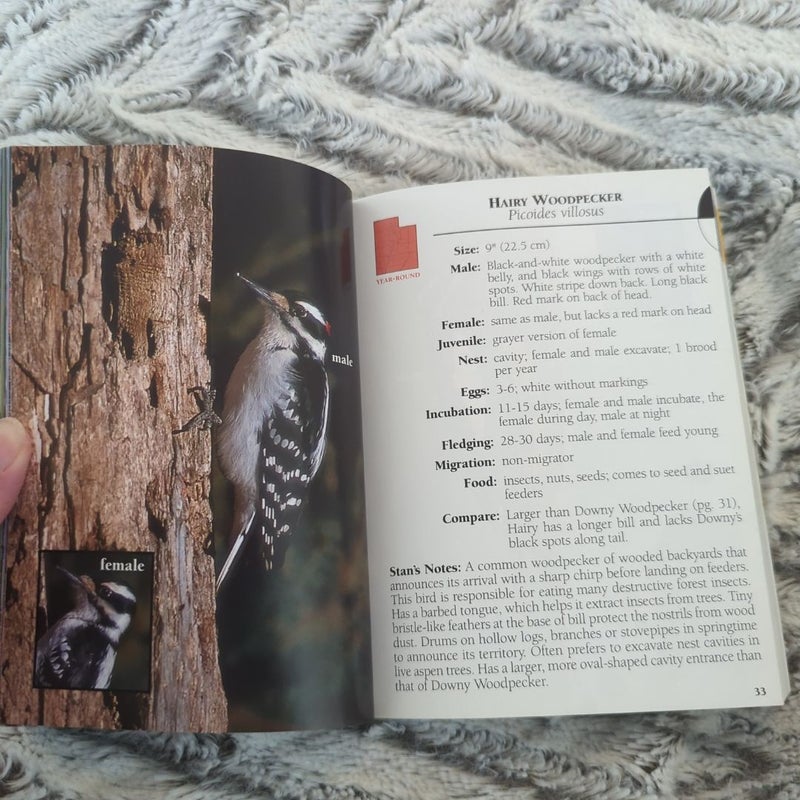 Birds of Utah Field Guide
