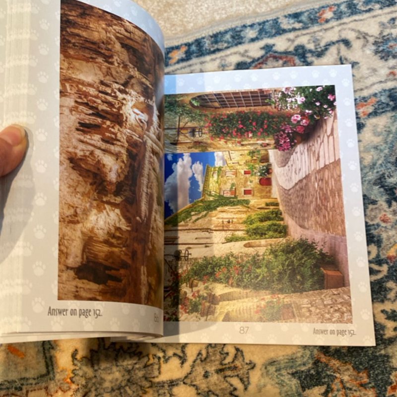 Brain Games - Find the Cat