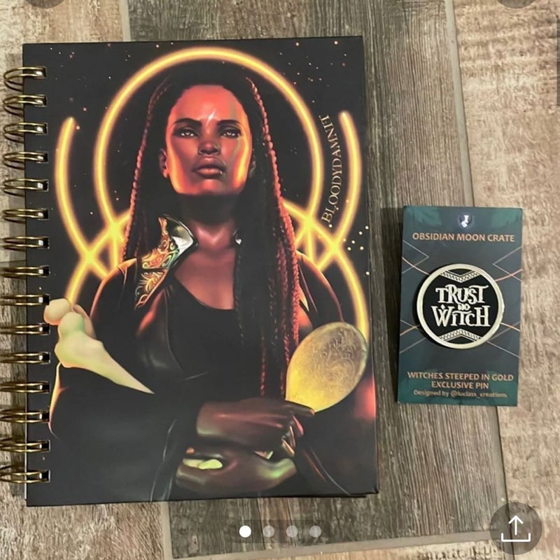 witches steeped in gold notebook