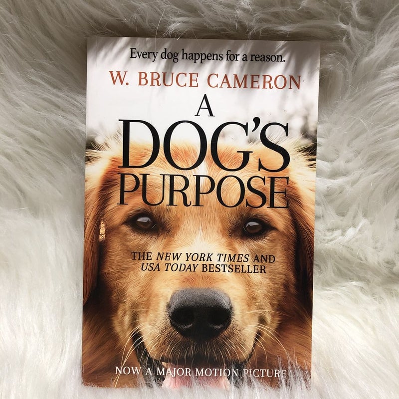 A Dog’s Purpose