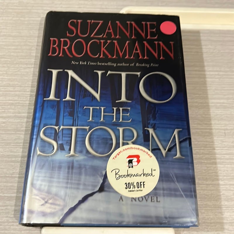 Into the Storm (First Edition HC) 