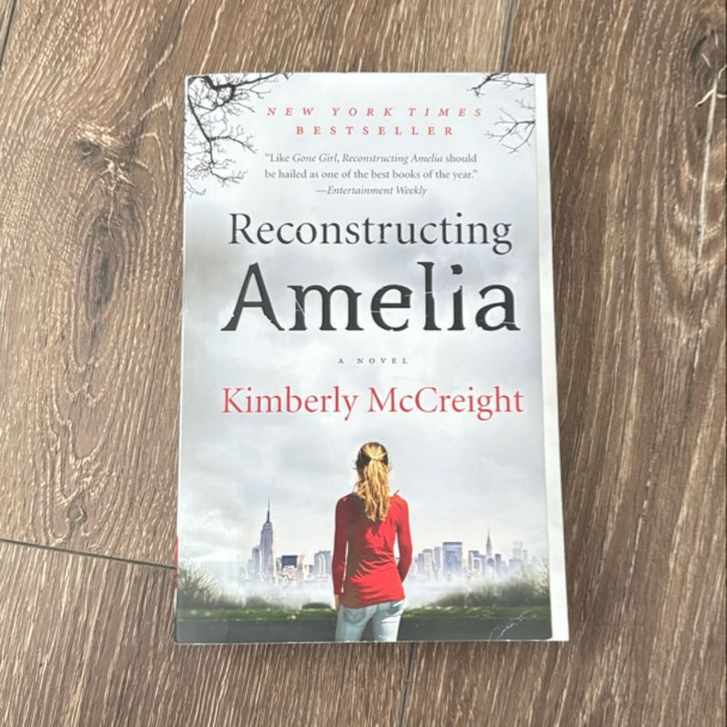 Reconstructing Amelia