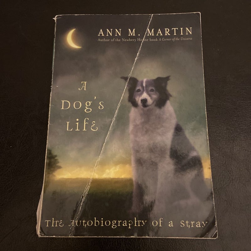 A Dog's Life