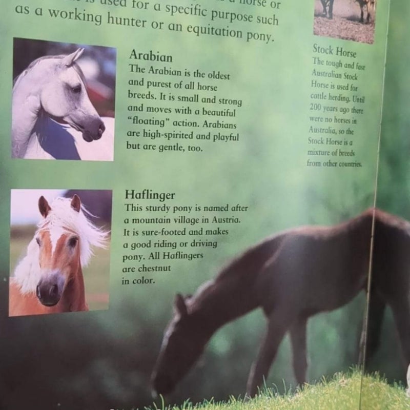 Horse Book Set (3 books) 