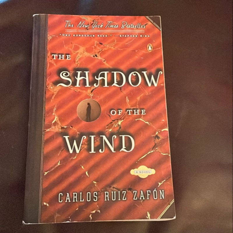 The Shadow of the Wind