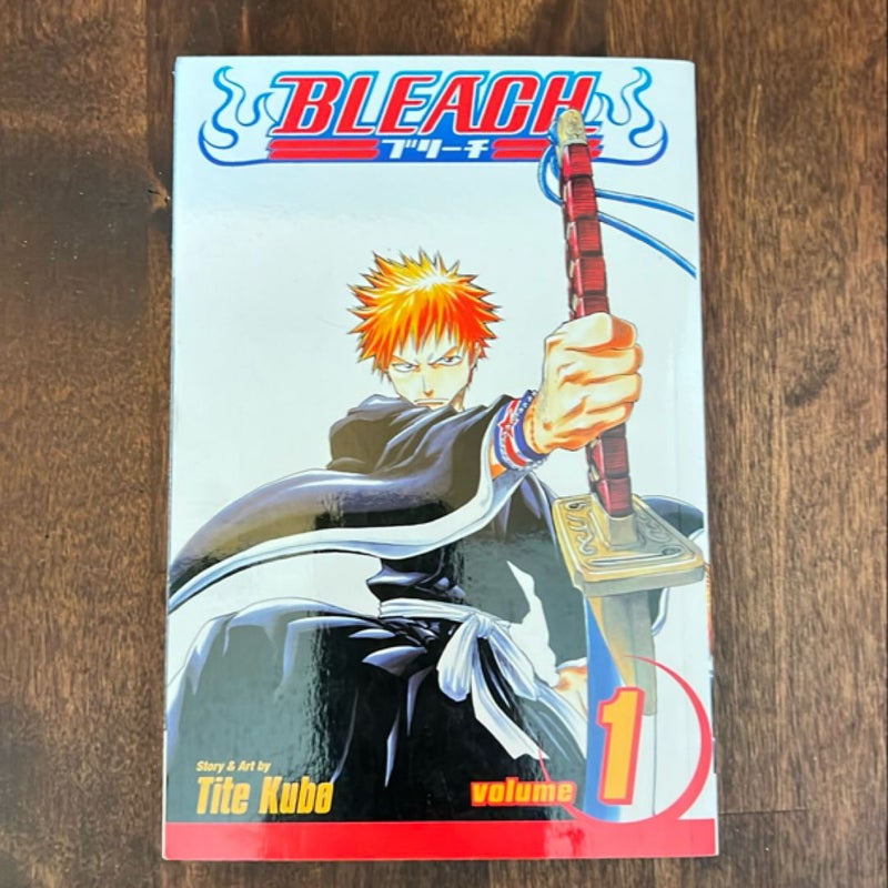 Bleach, Vol. 1