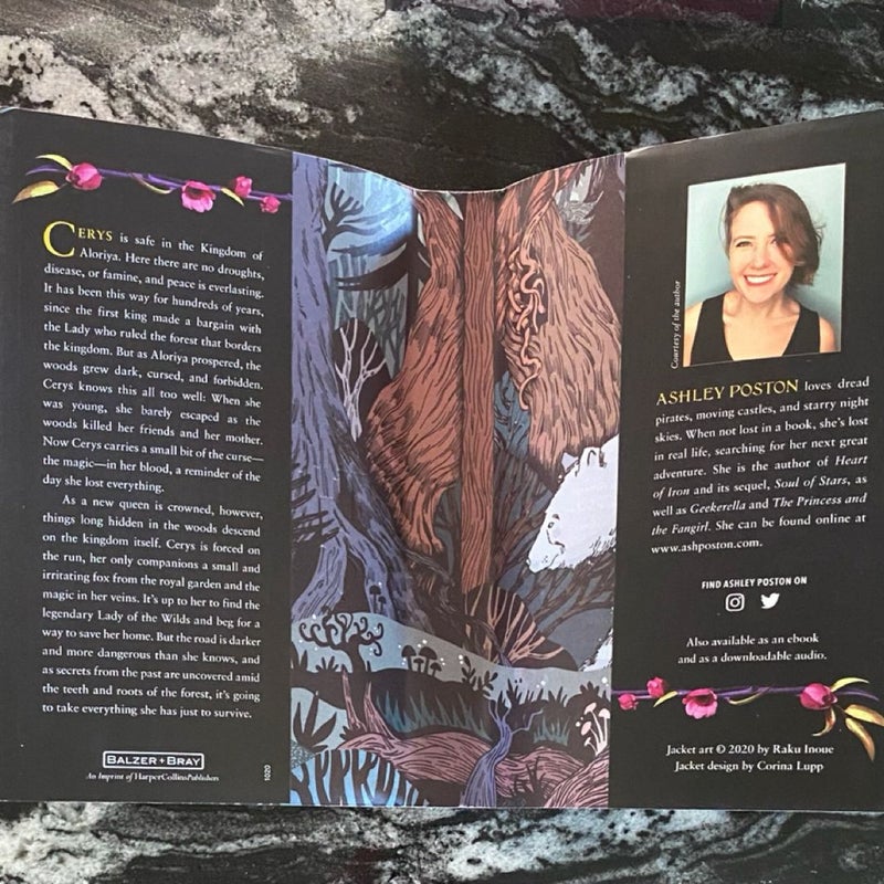 Owlcrate Special Edition Among the Beasts & Briars by Ashley Poston SIGNED