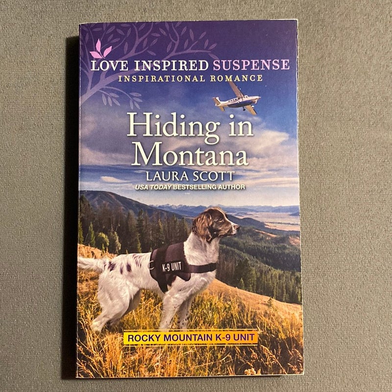 Hiding in Montana