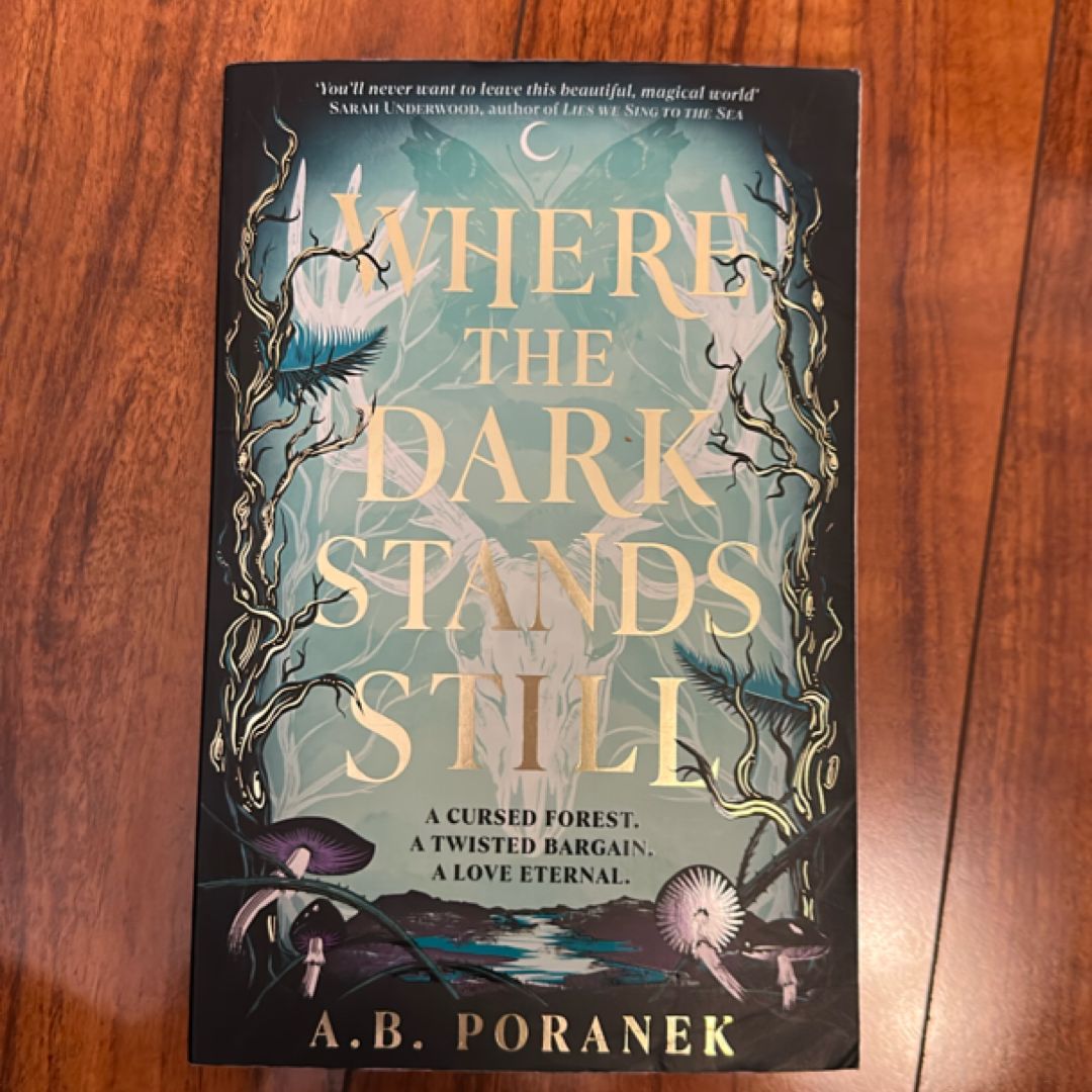 Where the Dark Stands Still