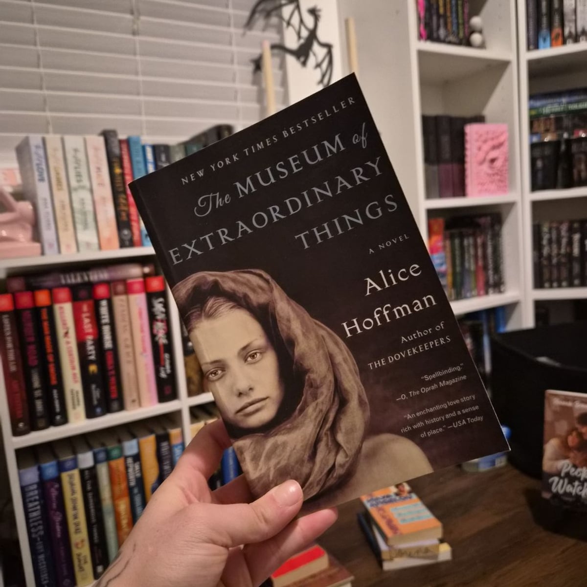 The Museum of Extraordinary Things by Alice Hoffman