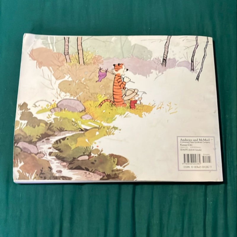 The Calvin and Hobbes Tenth Anniversary Book