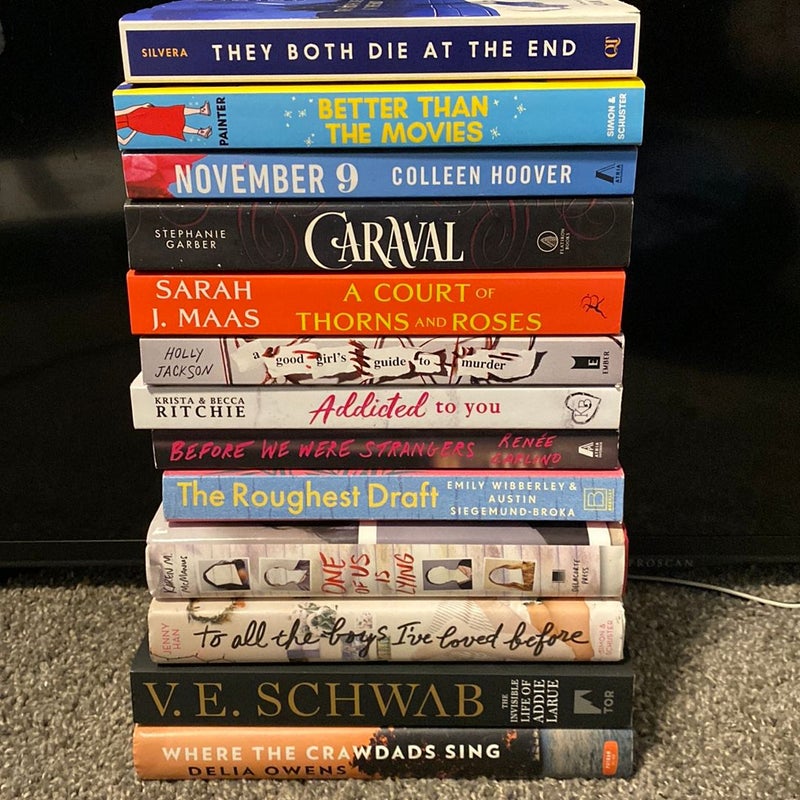 Booktok Book Bundle (13 books included)