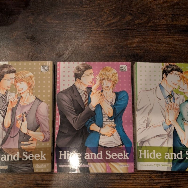 Hide and seek 1-3 