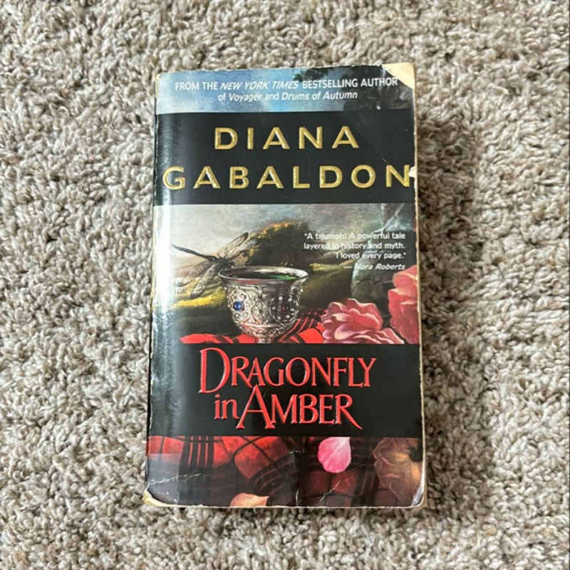 Dragonfly in amber 