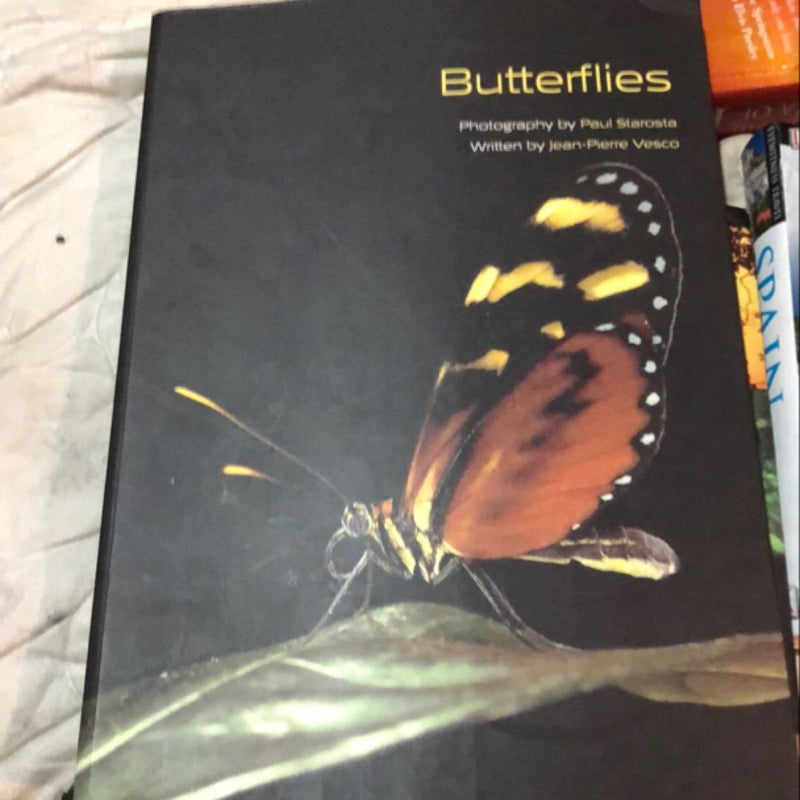 Butterflies 