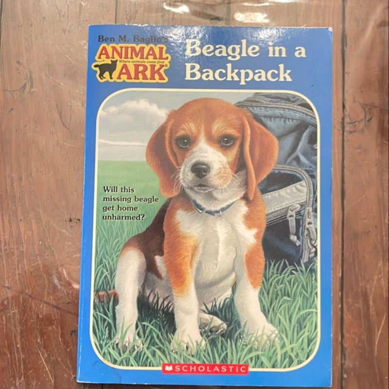 Beagle in a Backpack