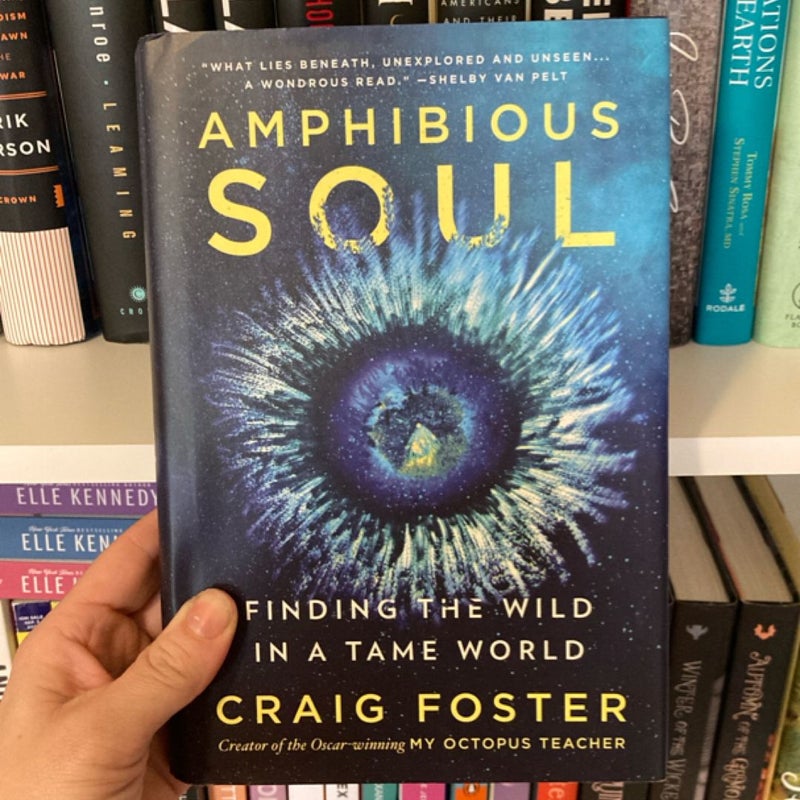 Amphibious Soul