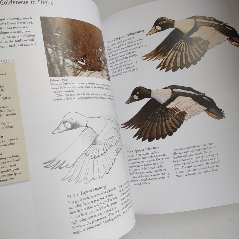 Wildlife Painting Basics Waterfowl and Wading Birds