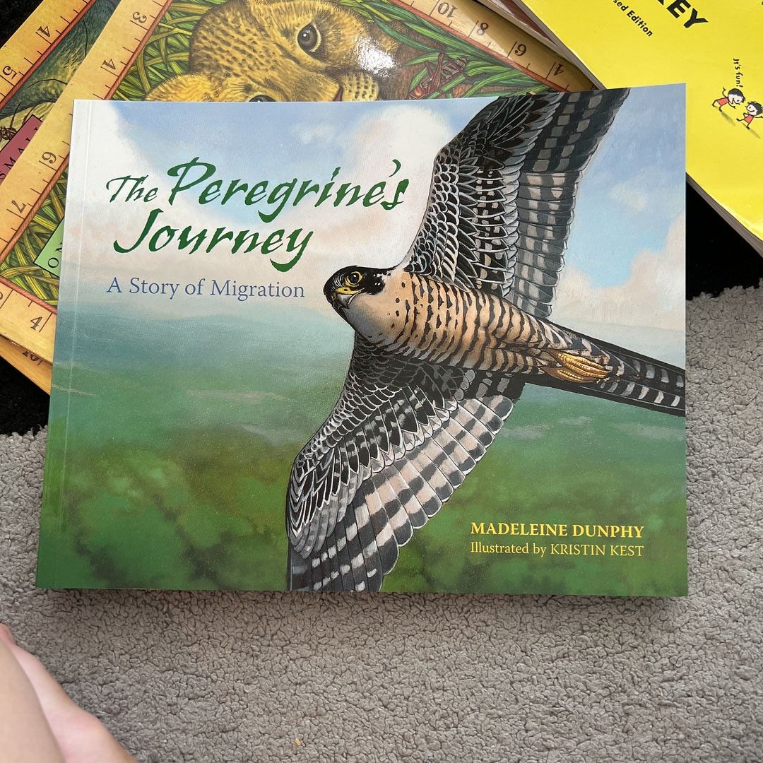 The Peregrine's Journey