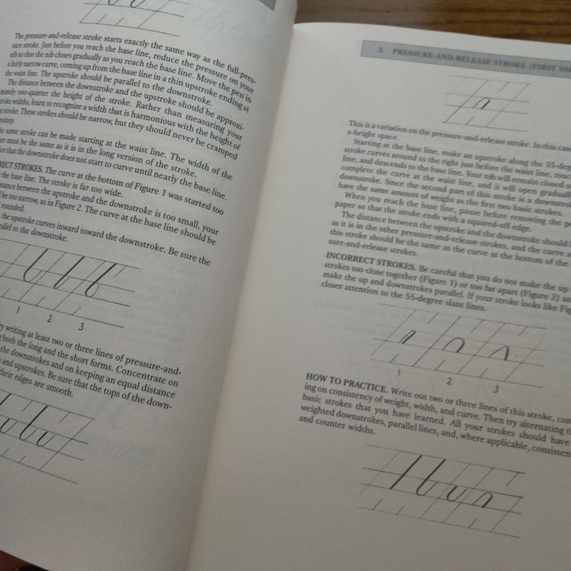 Mastering Copperplate Calligraphy by Eleanor Winters