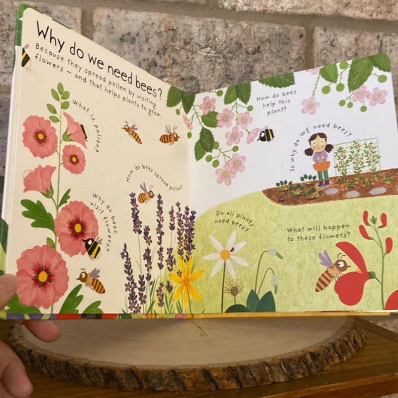 Lift-The-Flap First Questions and Answers Why Do We Need Bees?