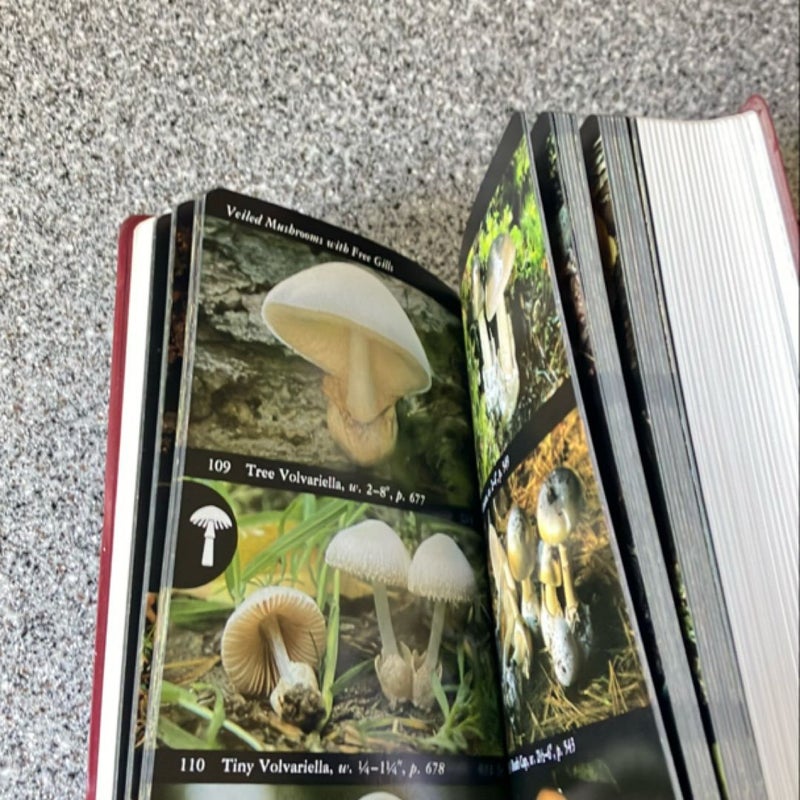 Field Guide North American Mushrooms *
