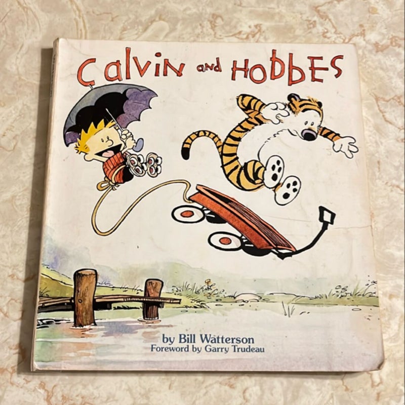 Calvin and Hobbes