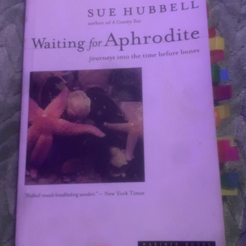 Waiting for Aphrodite