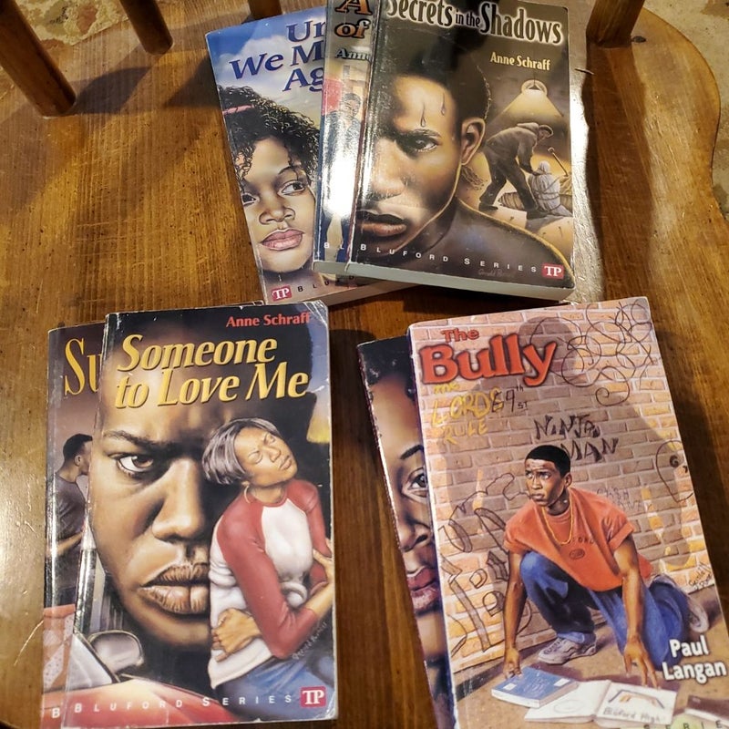 Bluford Series Bundle 