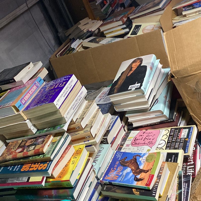 Mystery  Bags of Books