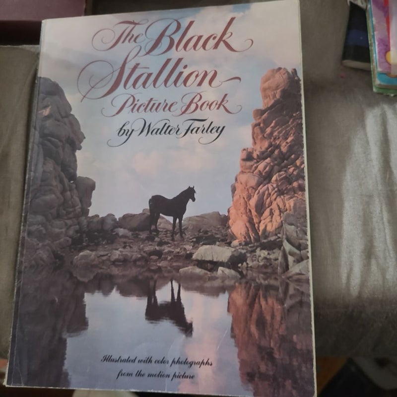 The Black Stallion Picture Book