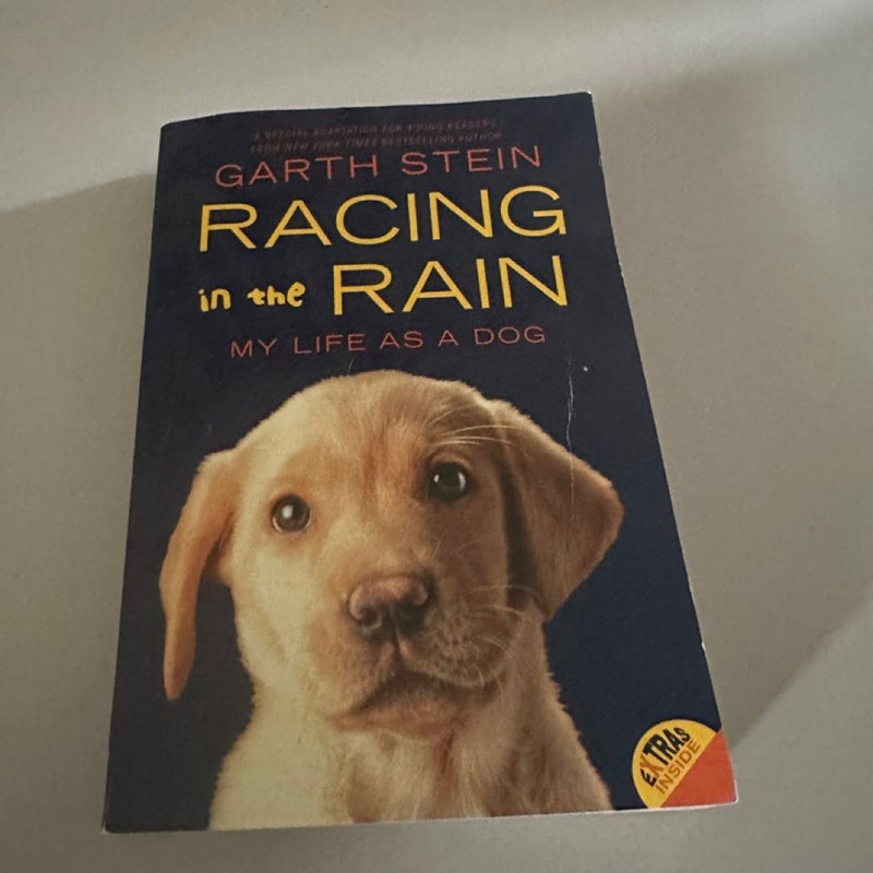 Racing in the Rain