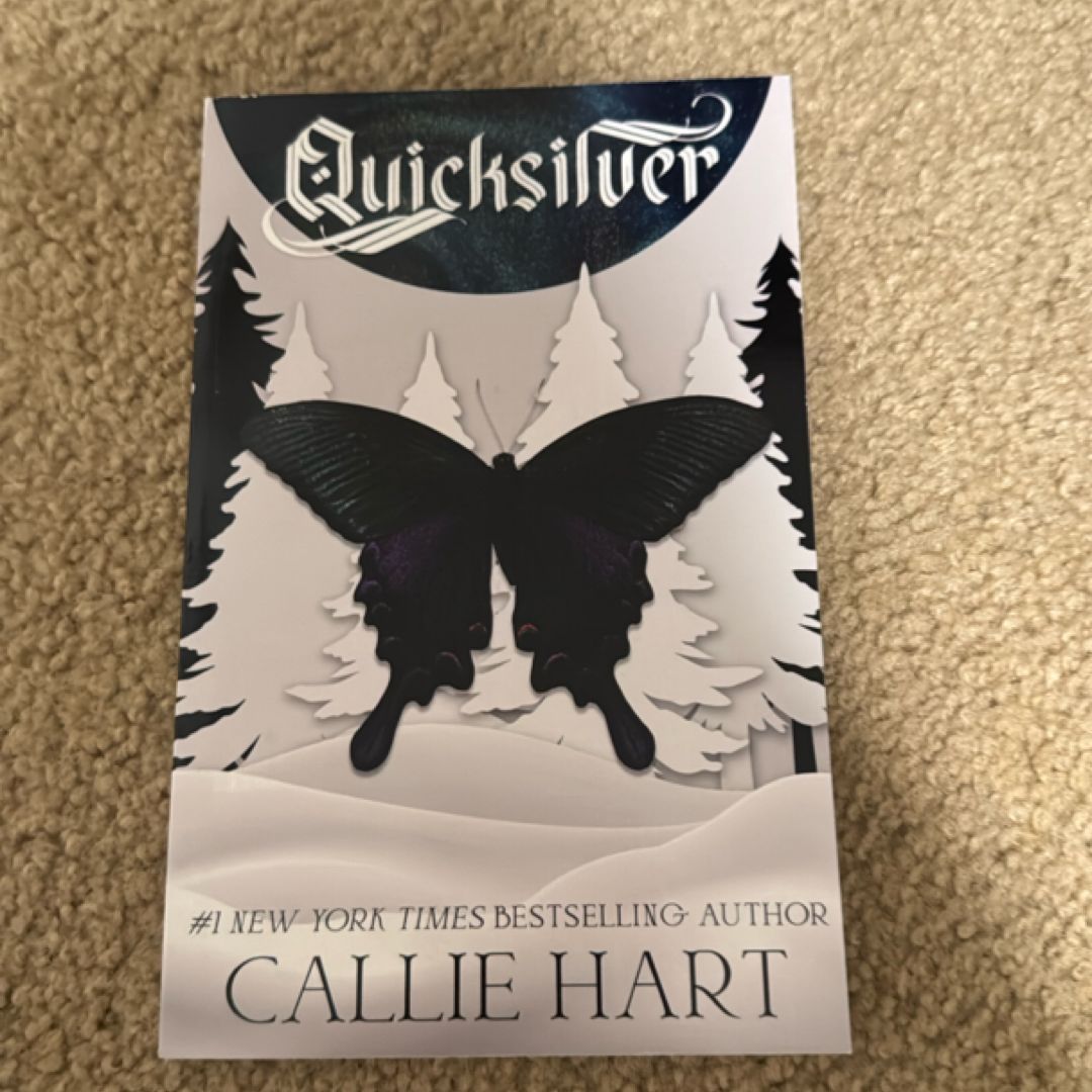 Quicksilver Notebook Companion 