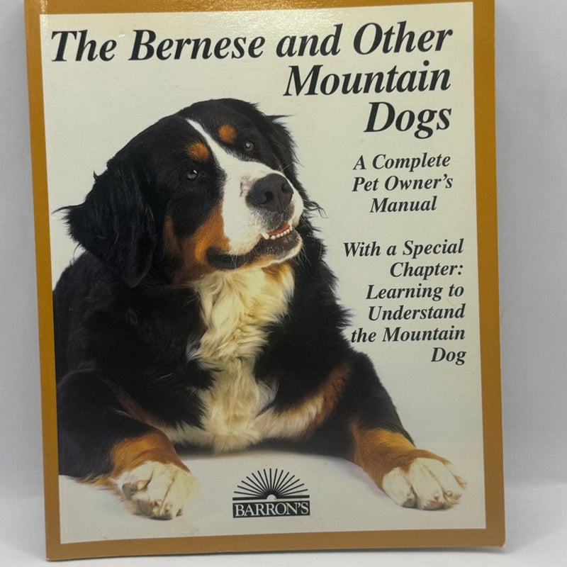 Bernese and Other Mountain Dogs