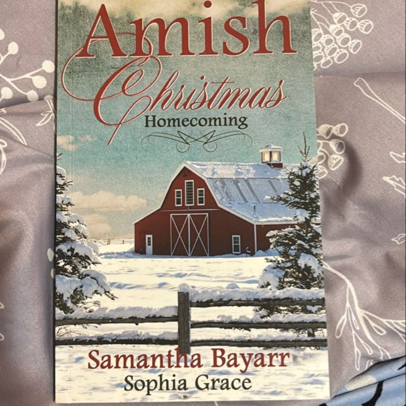 Amish Christmas Homecoming