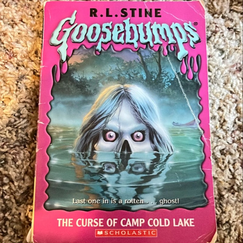 Goosebumps Book Lot