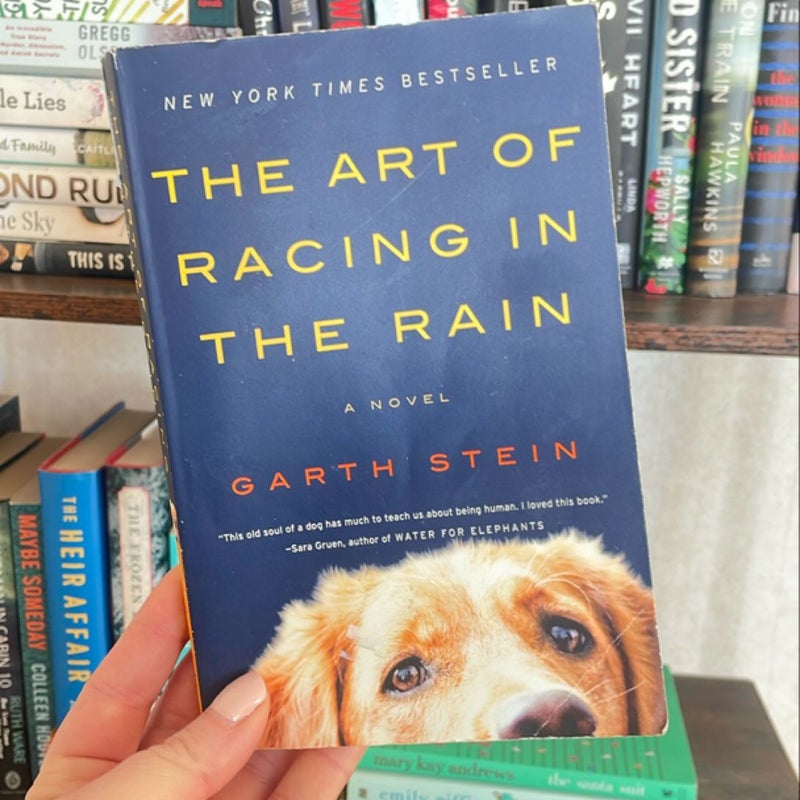 The Art of Racing in the Rain