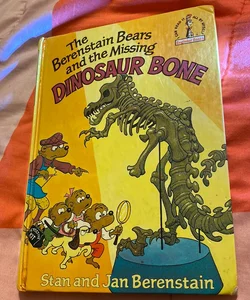 The Berenstain Bears and the Missing 