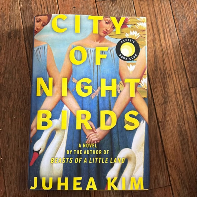 City of Night Birds