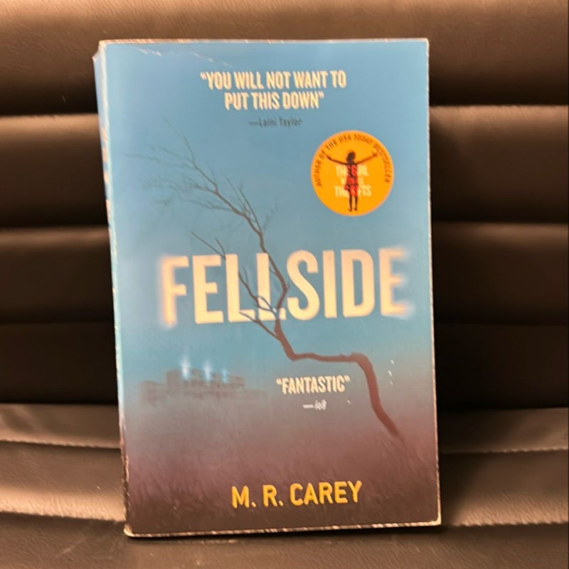 Fellside