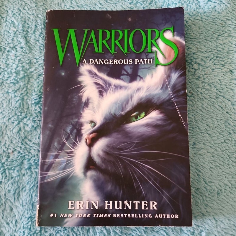 Warriors A Dangerous Path Book