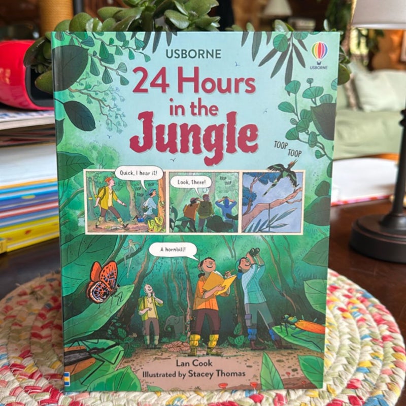 Usborne 24 hours in the…bundle
