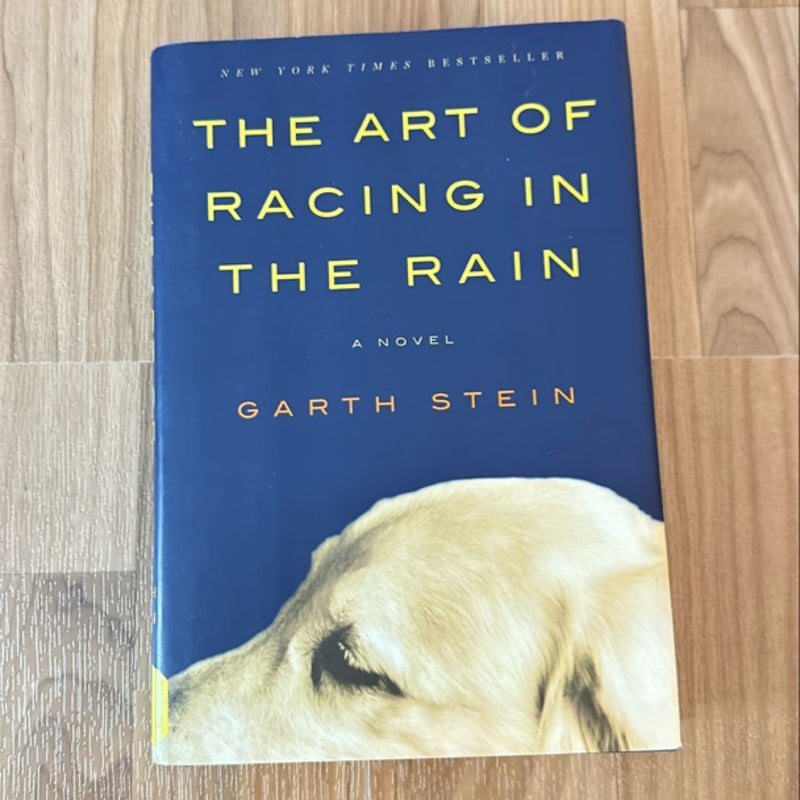 The Art of Racing in the Rain