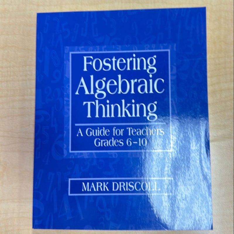 Fostering Algebraic Thinking