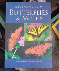 A Pocket Guide to Butterflies and Moths