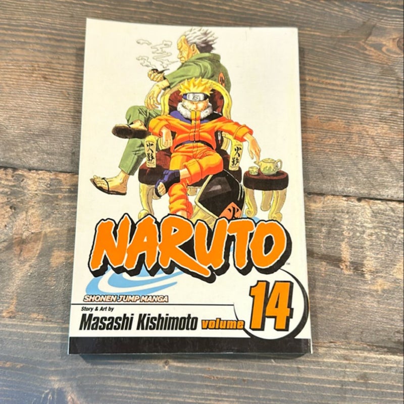 Naruto, Vol. 14