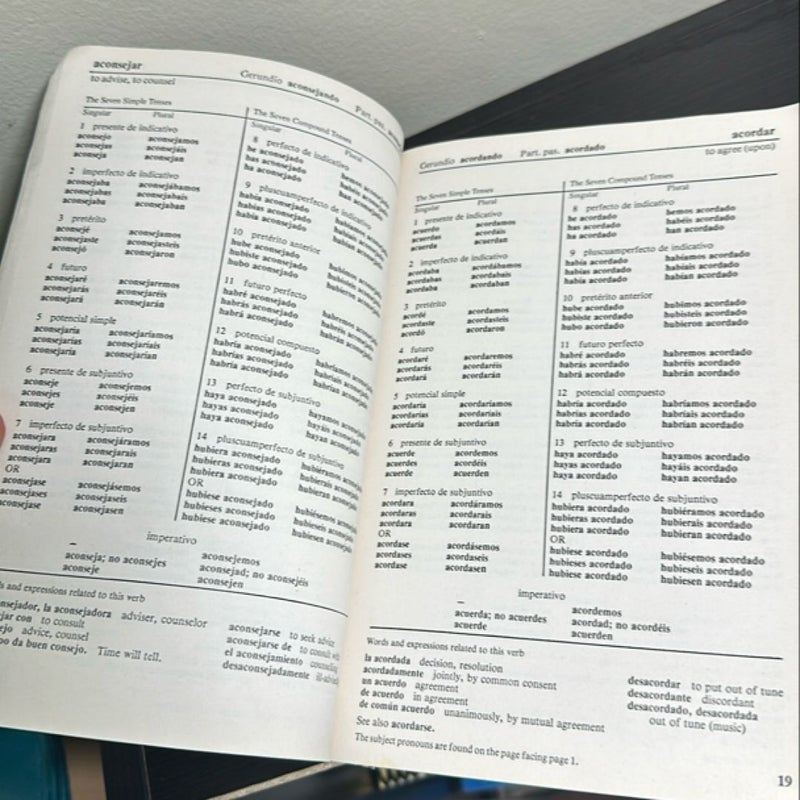501 Spanish Verbs