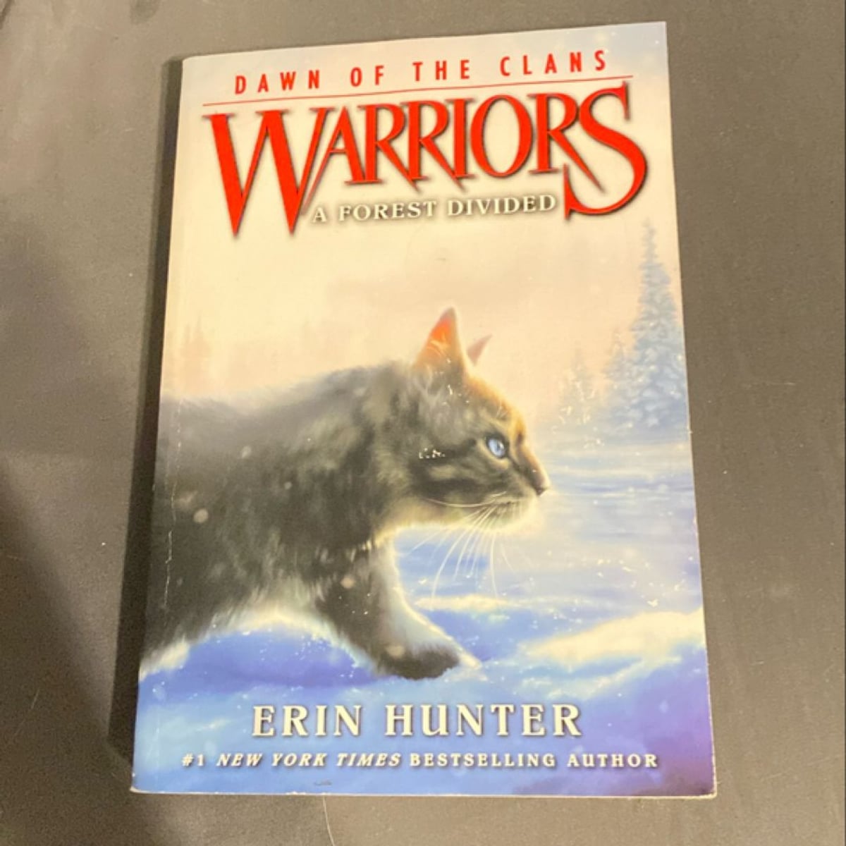 Warriors: Dawn of the Clans #5: a Forest Divided by Erin Hunter