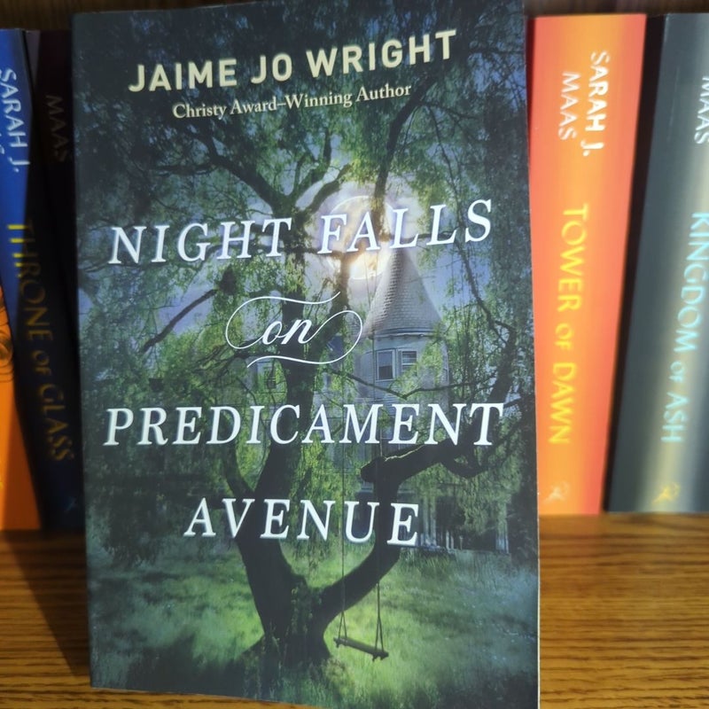 Night Falls on Predicament Avenue