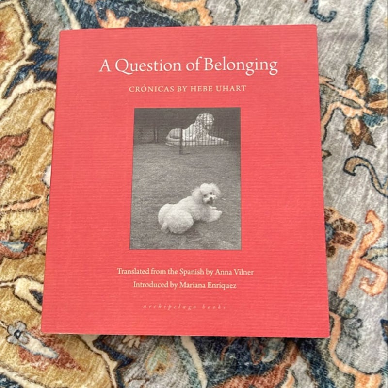 A Question of Belonging